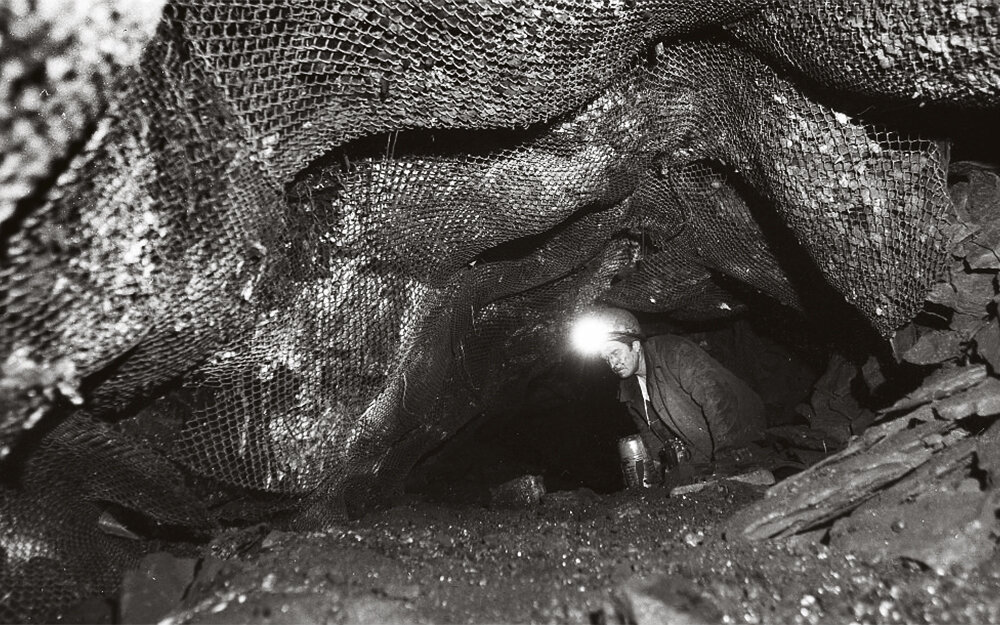 Фото: Александр Наумов. Снимок не имеет прямого отношения к истории, а лишь косвенно иллюстрирует публикацию.