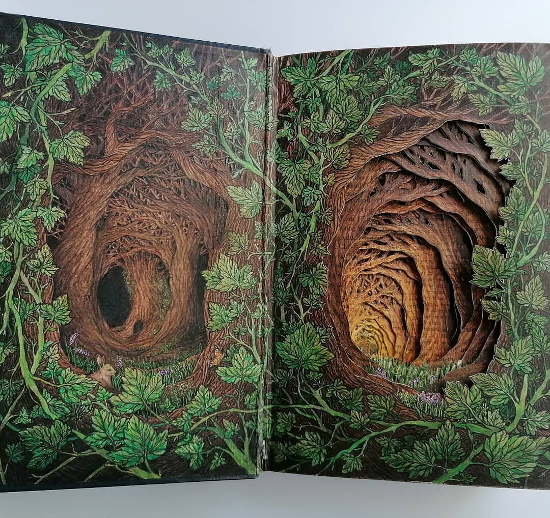 Источник фото: https://www.instagram.com/p/CDM0_Dipwiw/