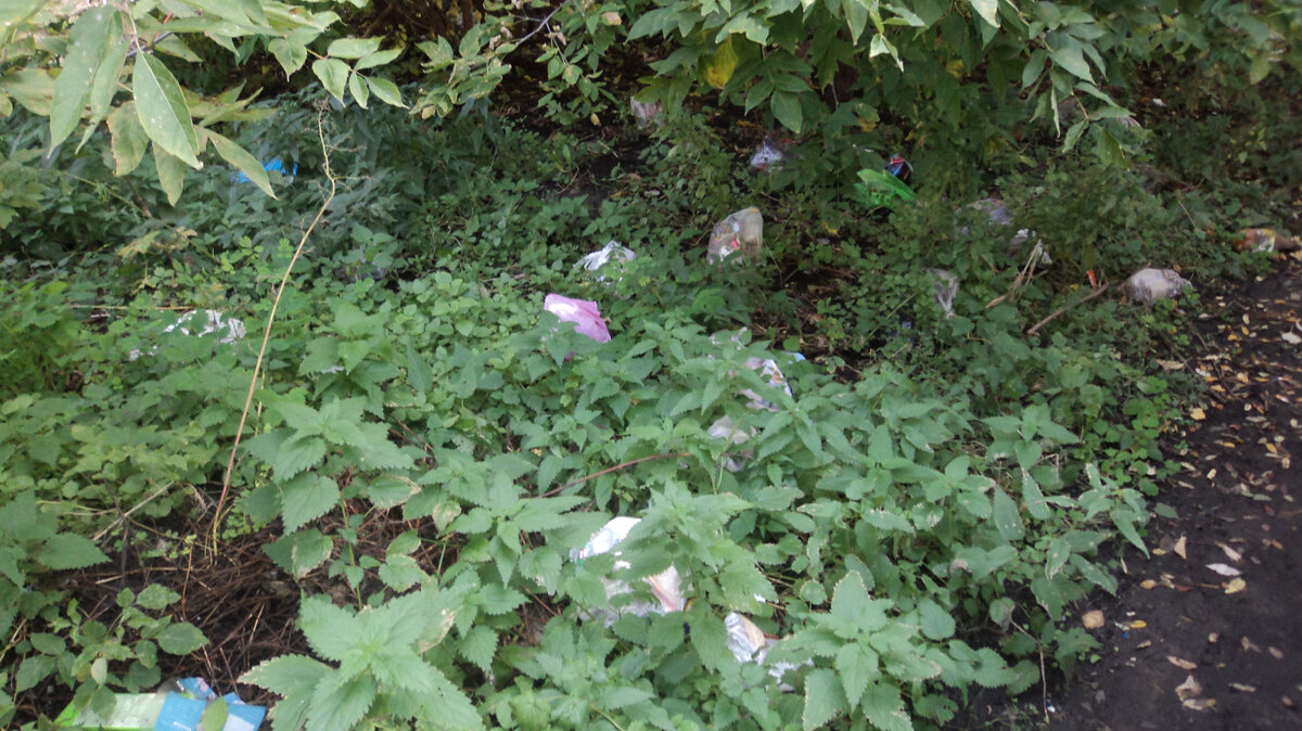 Центр города 