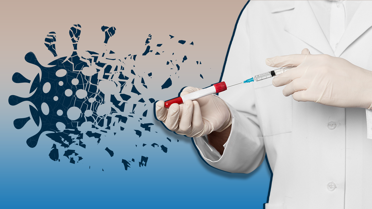 Фото из открытых источников.