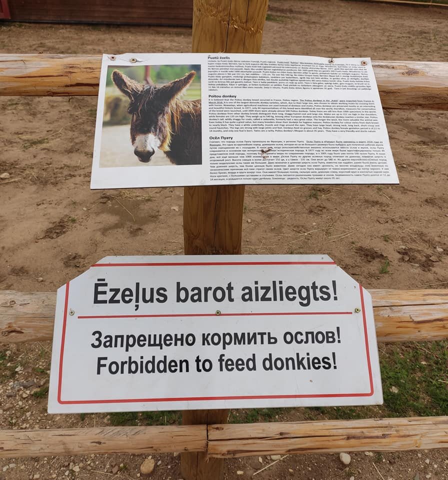 Прекрасно звучит, хоть для ослов и обидно. Но сами виноваты - откусывают детские пальчики.
— здесь: Rakši ZOO