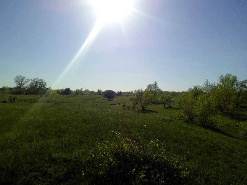    Усть-Быстрянские холмы в Ростовской области