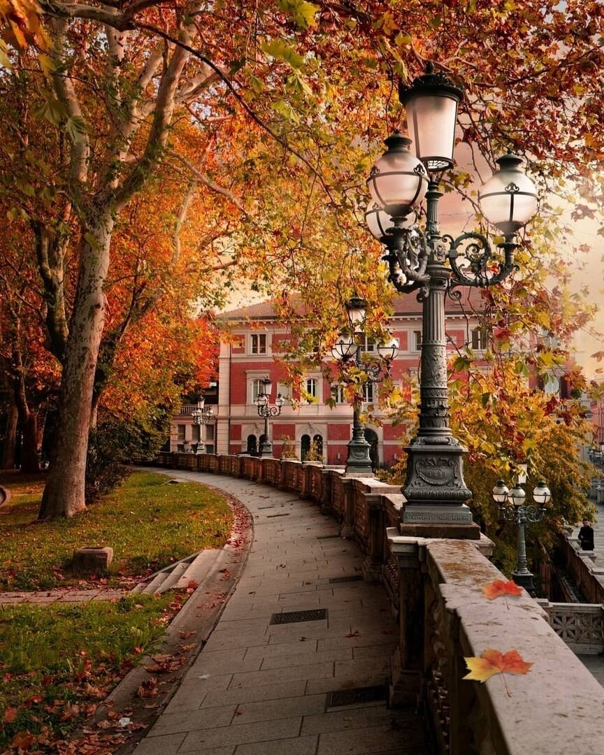 Красивая городская осень. К сожалению, в моем городе далеко не так. Фото из свободных источников сети Интернет