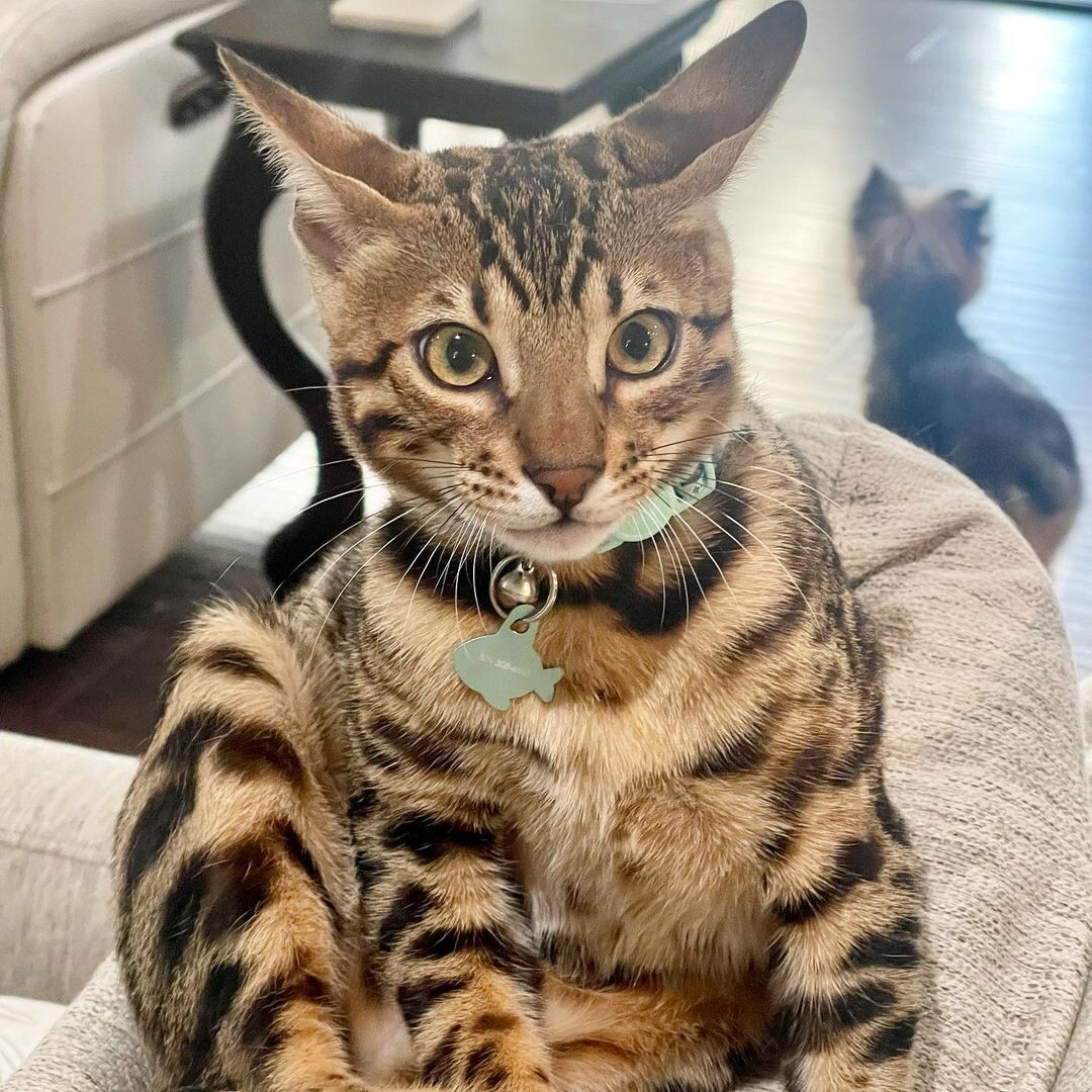 А вот так она выглядит в наше время.