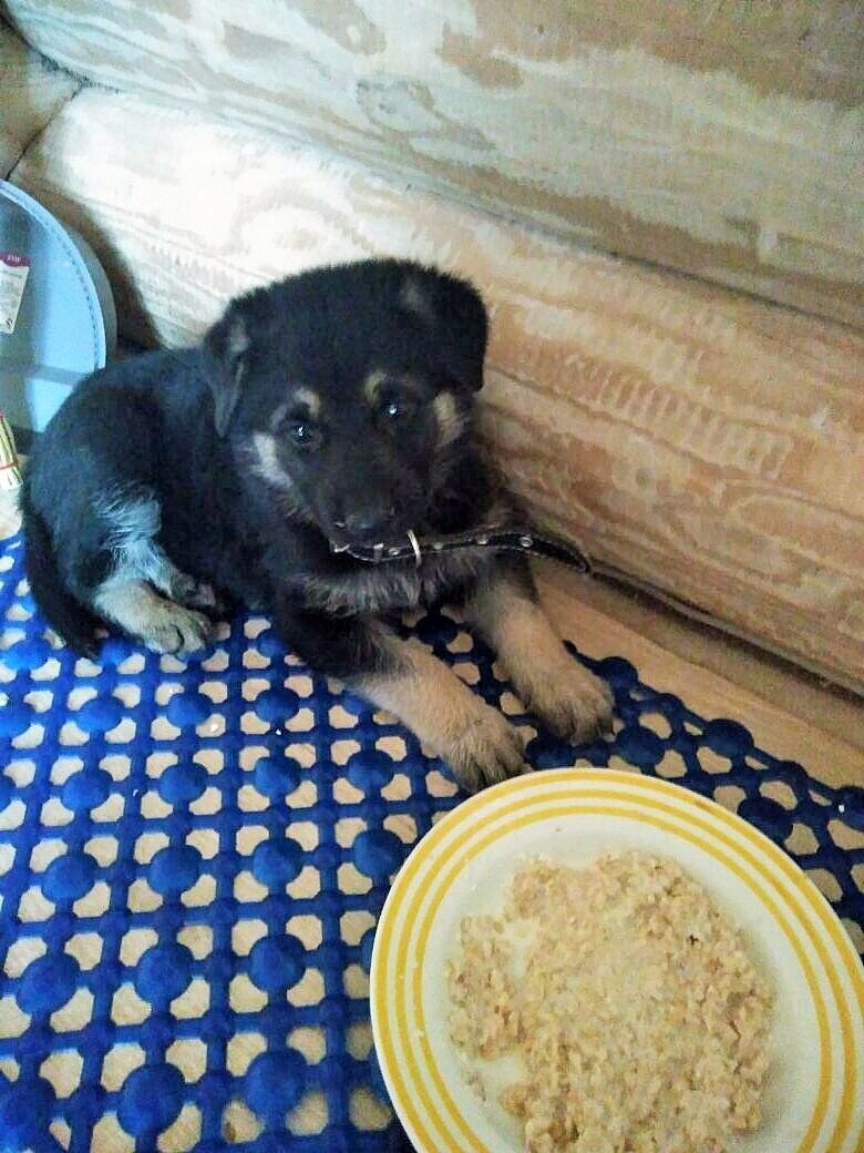 Первые часы в своем теперь уже доме.