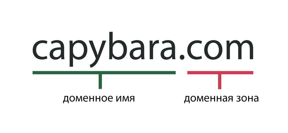 Обычно домен состоит из двух частей. Часть до точки — доменное имя. Часть после точки — доменная зона 