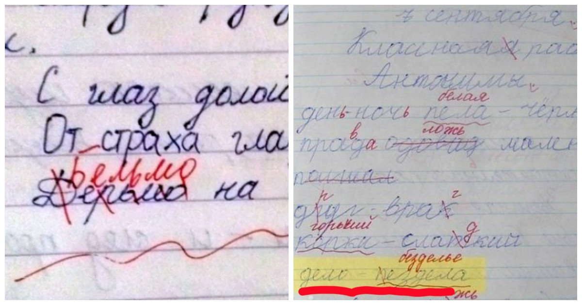 Фото из открытых источников.   