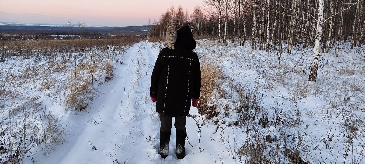 Гуляем с Машкой в лесу. Фото автора