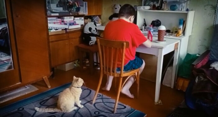 Делай уроки, человеческий детёныш!!!!!!!!!!!!!!!!!!!!!!