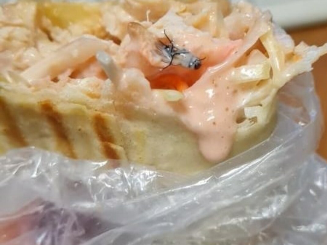 Муха в шаурме