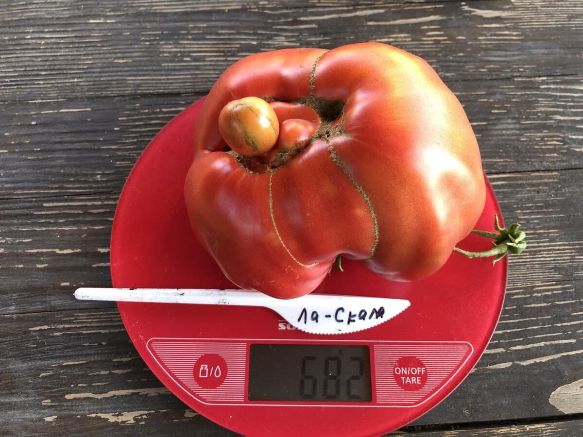 Не знаю почему я именно этот сфотографировала 