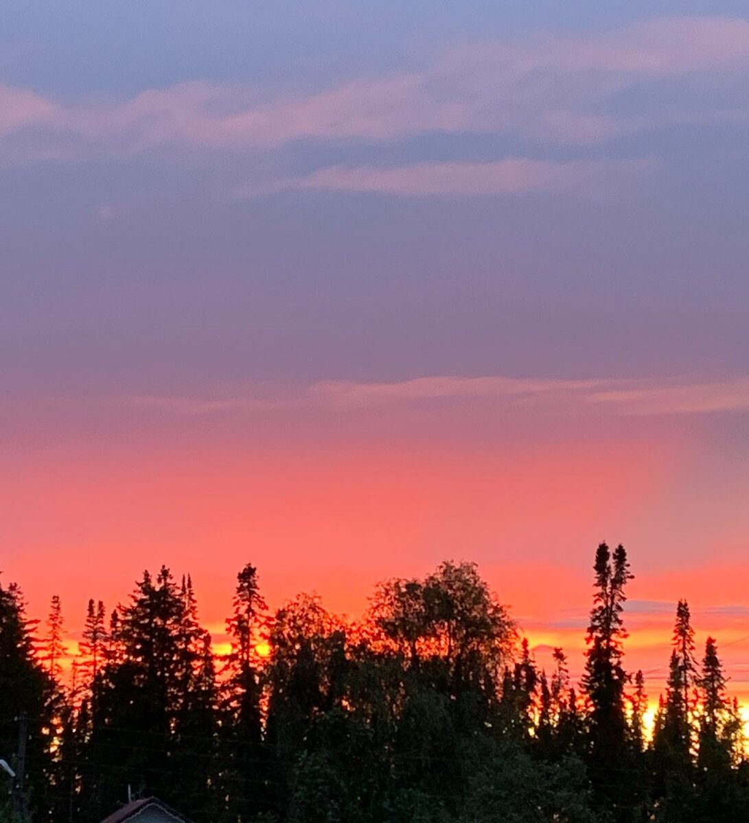 Закат за лесом. Фото автора.