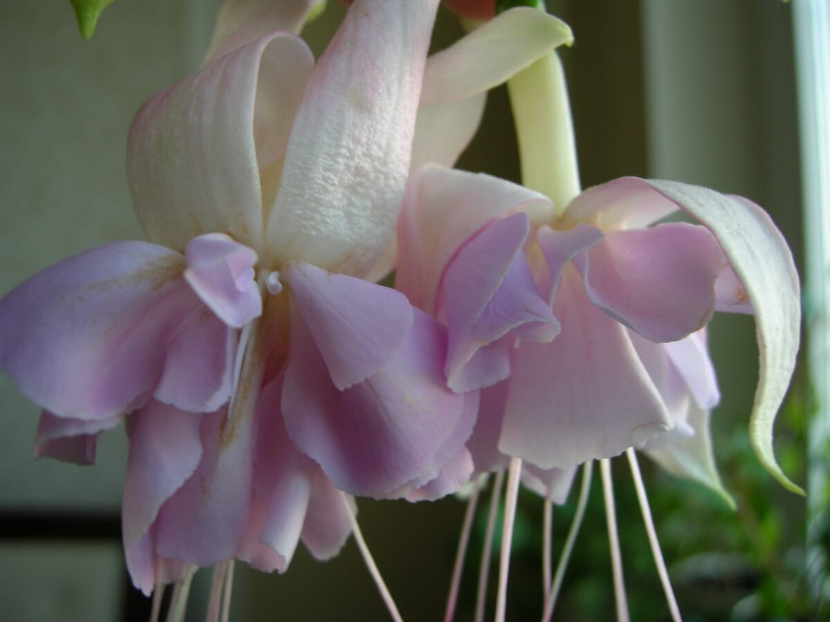 Фото автора для иллюстрации к тексту.