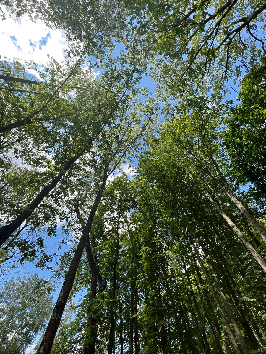 Определённо с таким видом качать пресс более эффективно