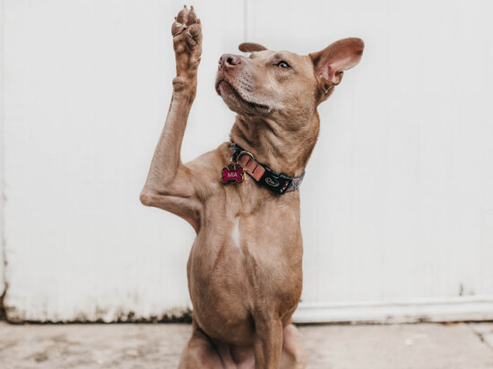     Фото: unsplash.com