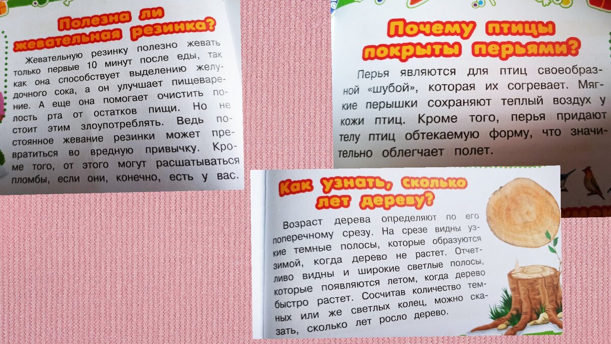 Тест: простые вопросы из детской энциклопедии, на которые не все взрослые знают  ответы | Ушла в декрет | Дзен