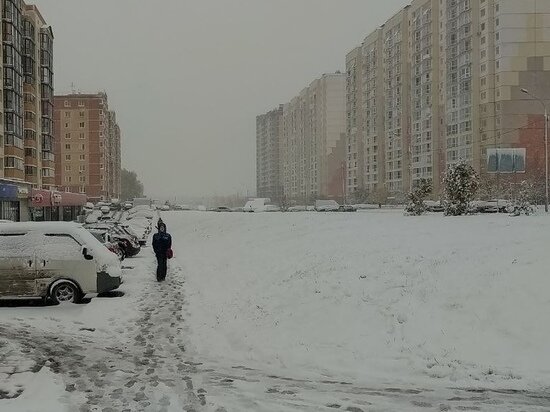     Елена Балуева / МК в Новосибирске