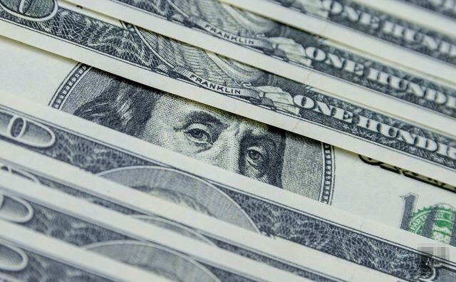    Доллары Дарья Антонова (c) ИА REGNUM