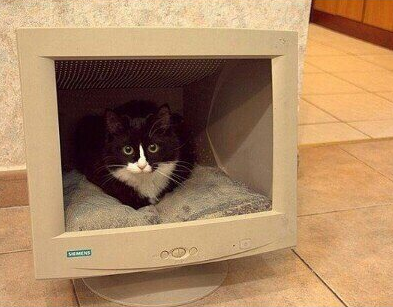 Кто составляет списки слов автозамены в электронных словарях?