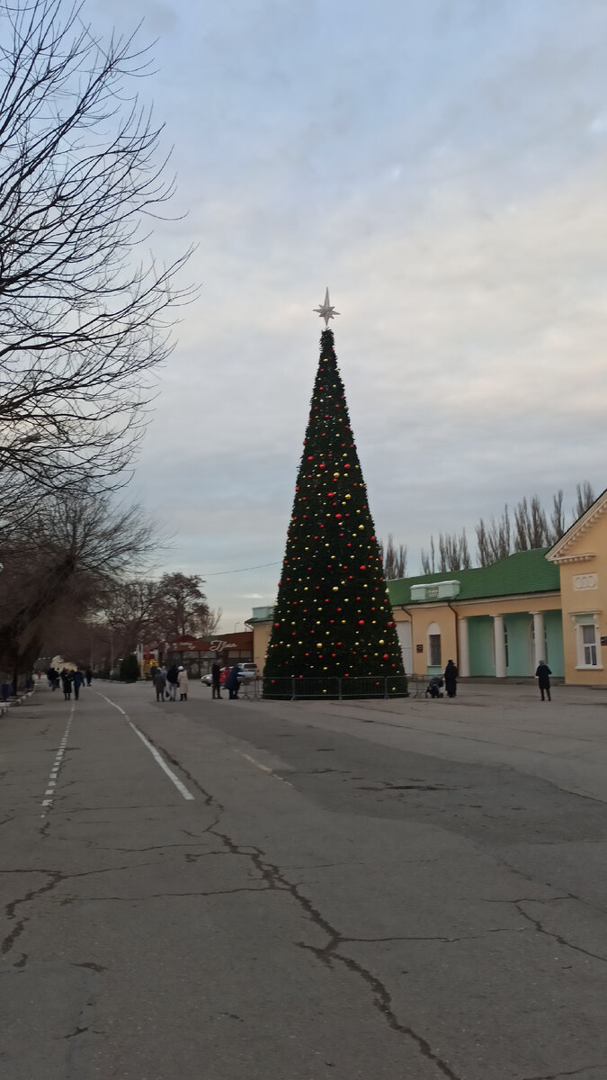 Ёлка на Привокзальной площади