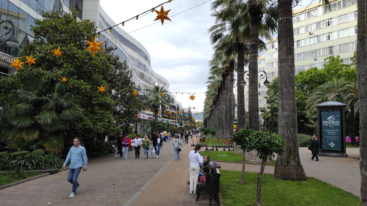 Сочи. Пальмы. Фото: Кирилл Полиенко/Polienko: путешествуем вдвоём