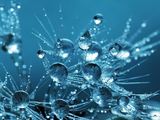     фото: pixabay.com