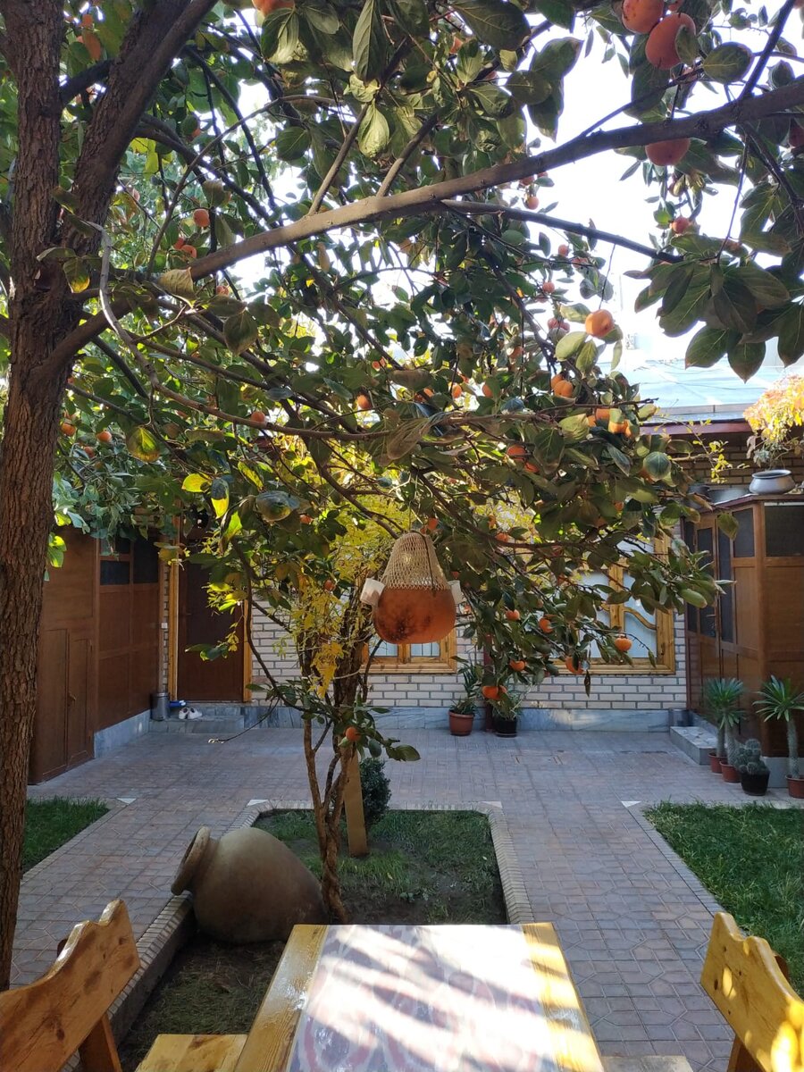 Дворик гостевого дома, где мы жили. Всё было хорошо кроме санузлов в наших номерах, принимать душ было крайне неудобно, сломанная сантехника, хотя починить всё было нетрудно, но хозяева не заморачивались.