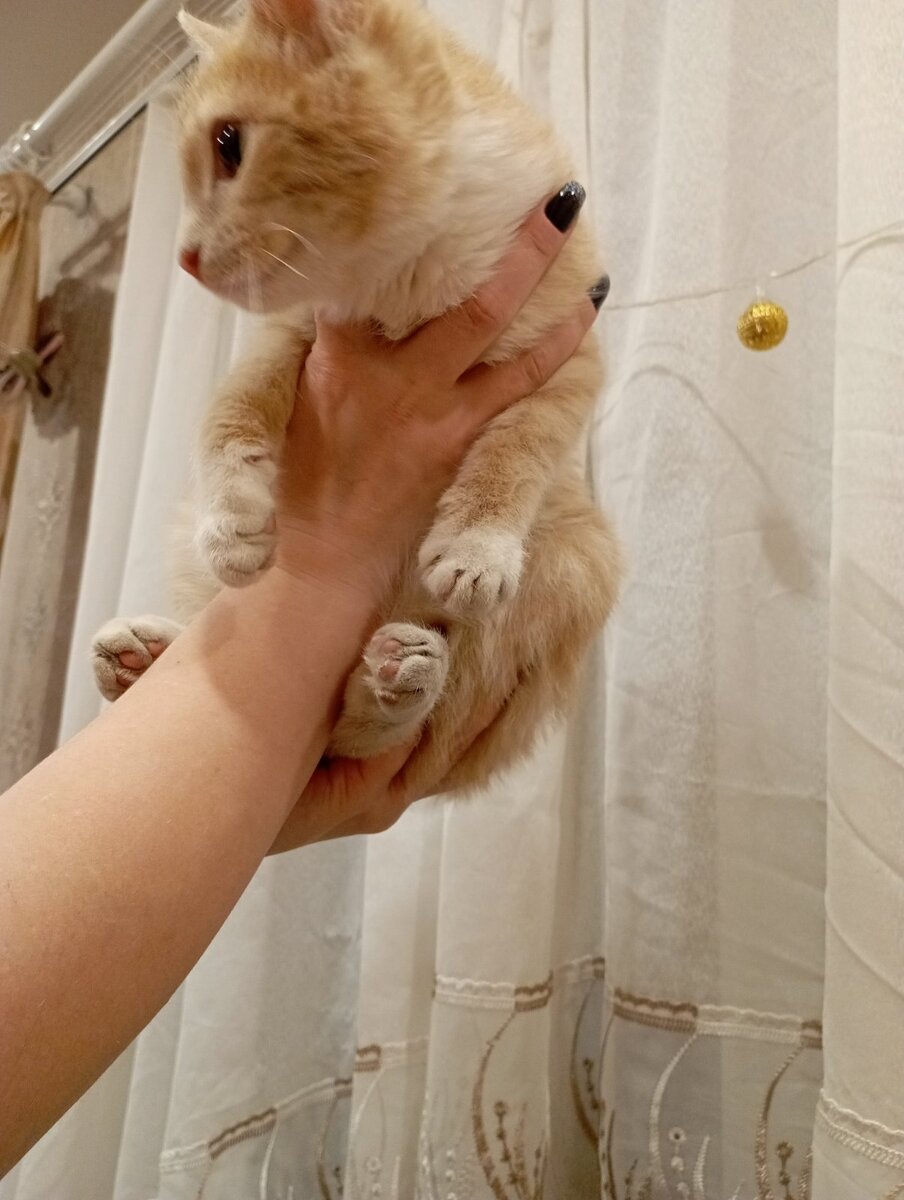 Смотрите, какой красавец! Здесь и далее фото автора