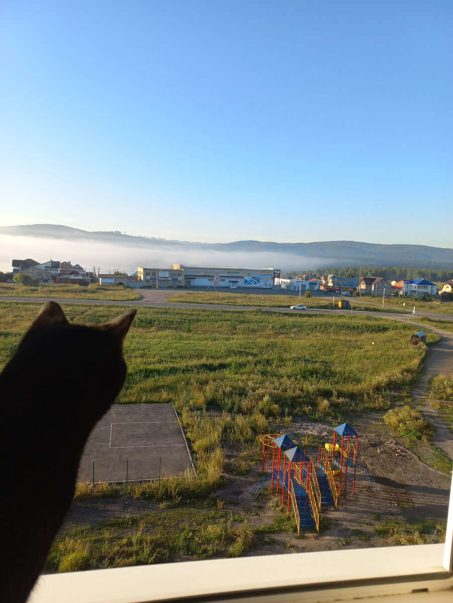 Зато какой вид из окна