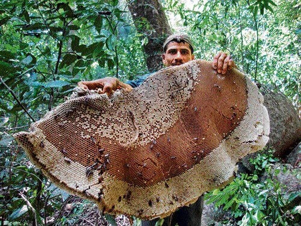 Когда бабуля пытается доказать, что в твой евроремонт идеально впишется шерстяной ковёр.