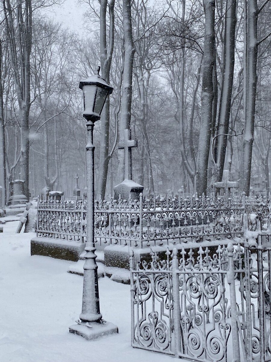 Смоленское лютеранское кладбище в Санкт-Петербурге в метель, февраль 2023г. 