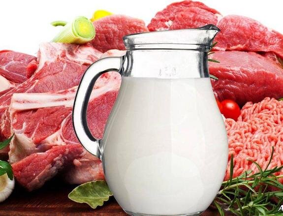    Из-за экологических активистов человечество может остаться без мяса и мозгов