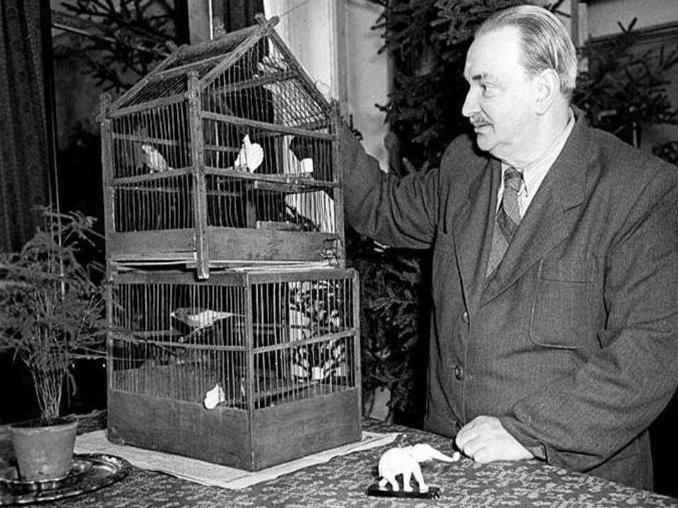 Источник фото: https://www.culture.ru/events/1646177/literaturnye-polyanki-vitaliya-bianki