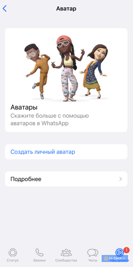    Вы сами выбираете цвет кожи, глаз и волос аватара, а также его прическу, одежду и многие другие элементы образа