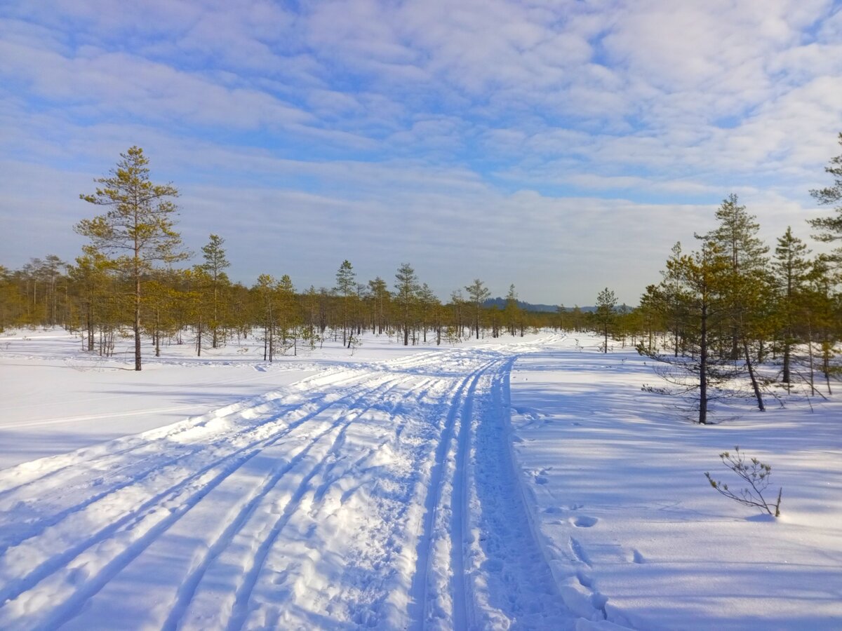 Болотная петля 