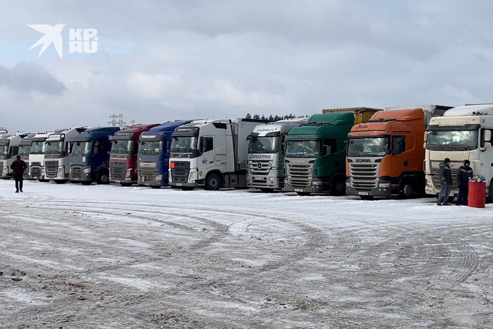     В московский регион перед мартовским праздником в среднем каждые сутки подъезжает до 45 фур с цветами. Александр РОГОЗА