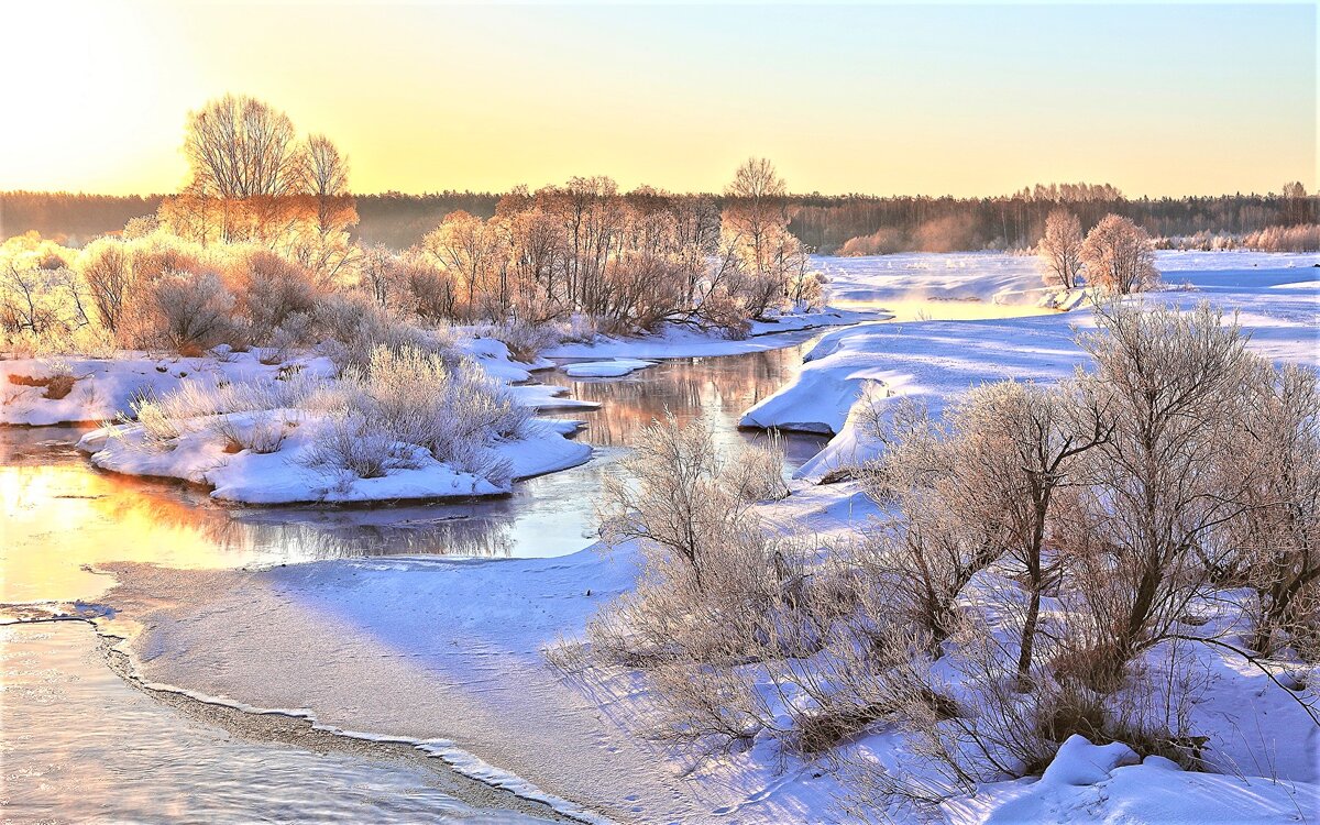 Яндекс. Картинки.