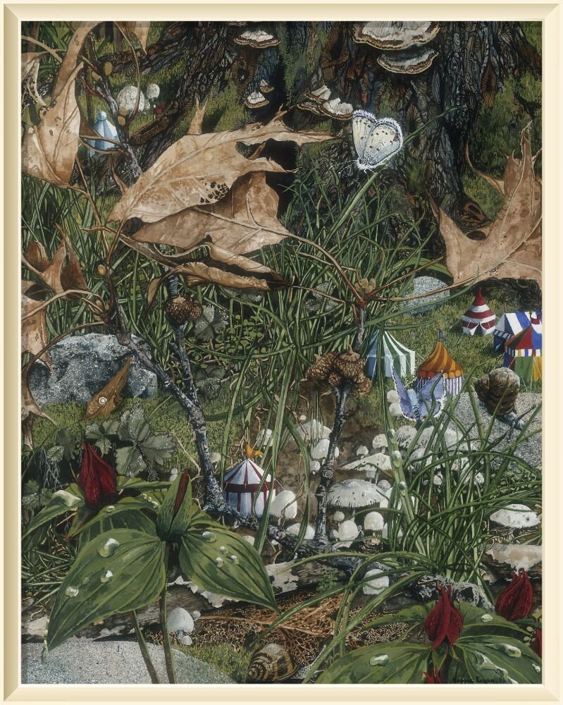 ©️ Мэгги Вандевалле / Maggie Vandewalle Summer Solstice/ День летнего солнцестояния