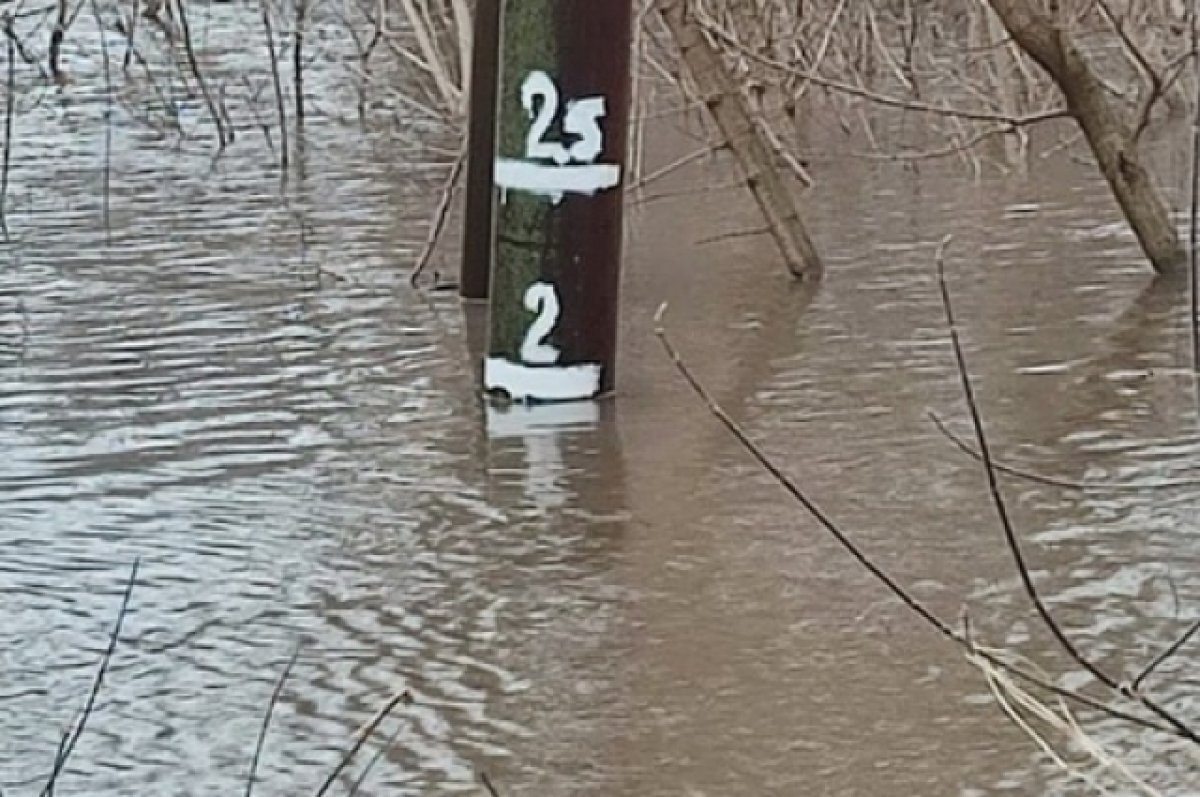    Жители Жирновского района жалуются на непригодную после паводка воду