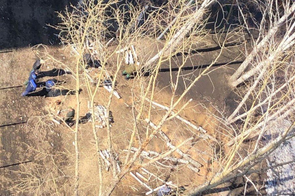     Спиленные березы. Фото: "Банкфакс"