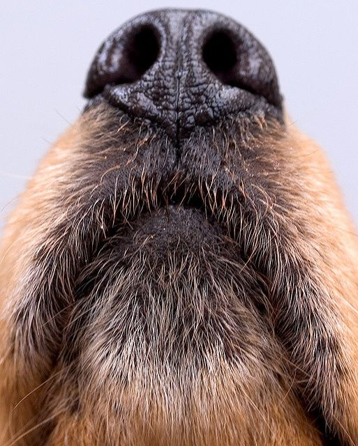 Автор фото - Алексей Ка (@alexis33710105) платформа Pinterest