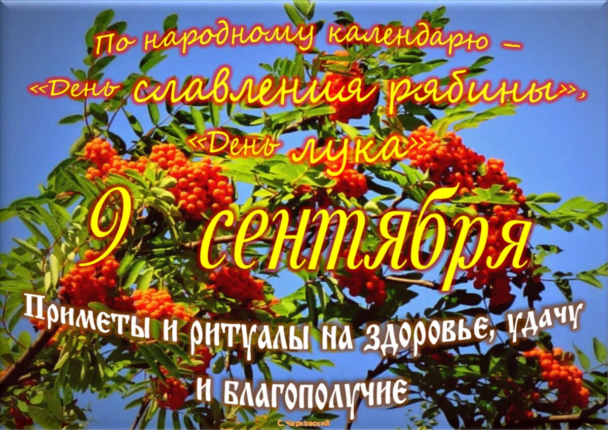 Встречаем новый день