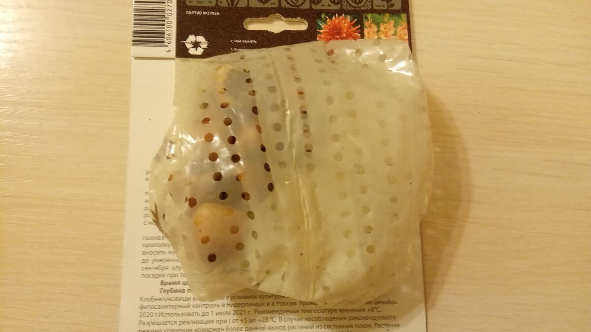 В пакетике упакованы достаточно крупные луковицы ацидантеры. Не поленилась и замерила их диаметр - 2,2 сантиметра.