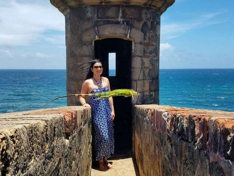 Тут никак было не обойтись без игуаны.