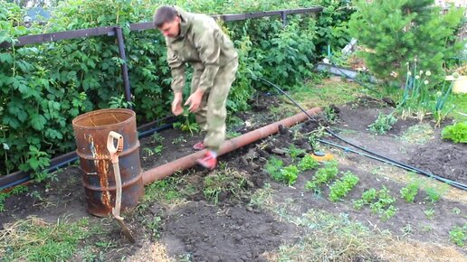 Нашёл старую бочку и сделал коптильню своими руками. Сазан холодного копчения.