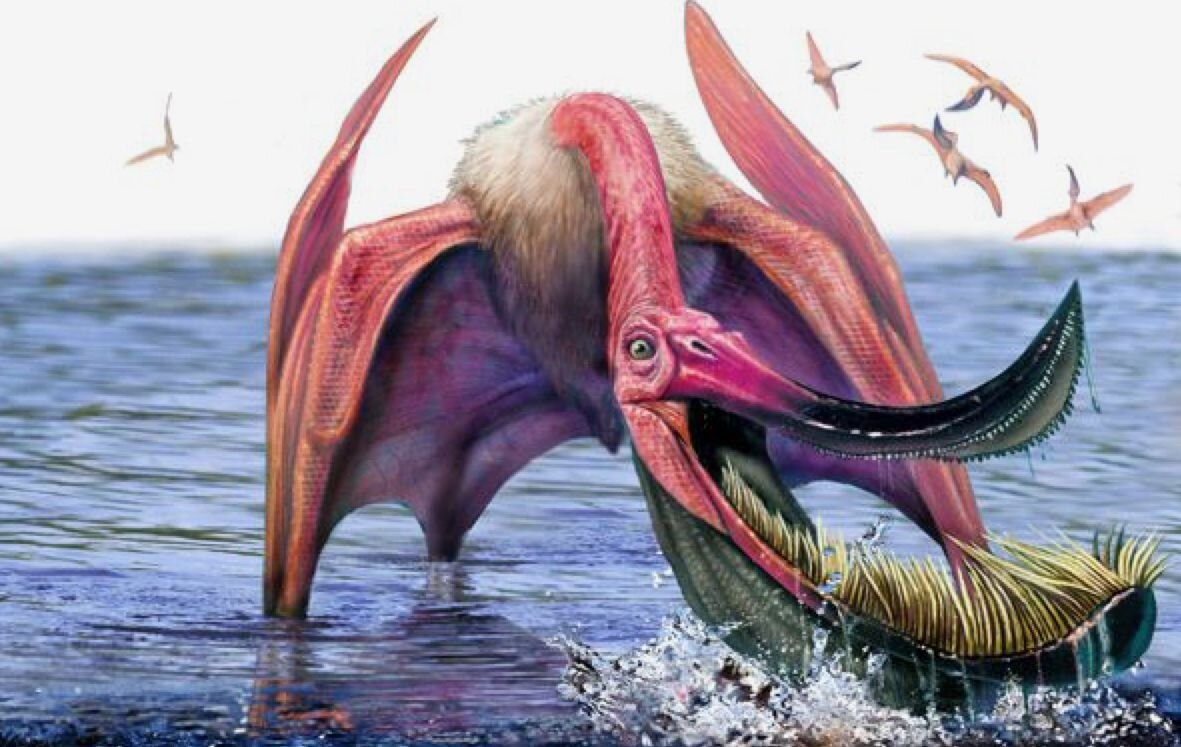 Папин бродяга, мамин симпотяга.