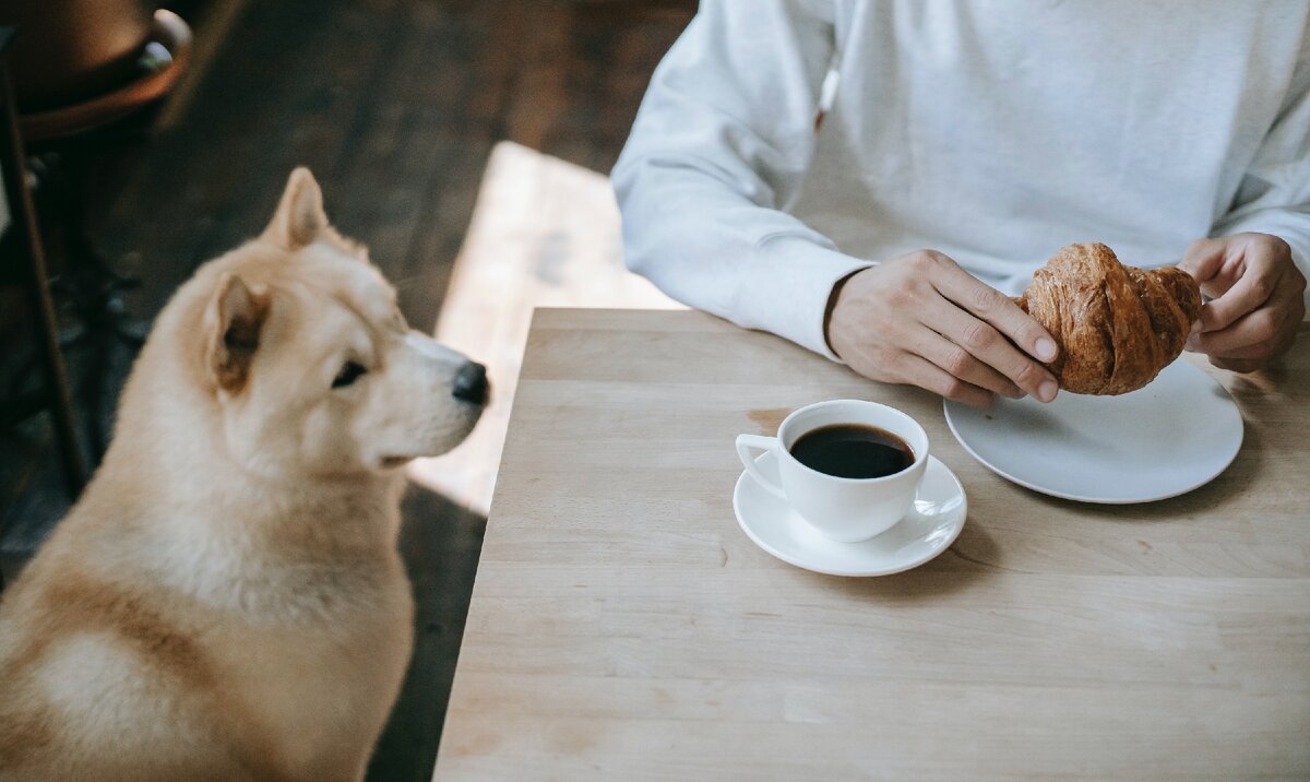 Кофе соспесо. Доход, который не требует вложений в бизнес.