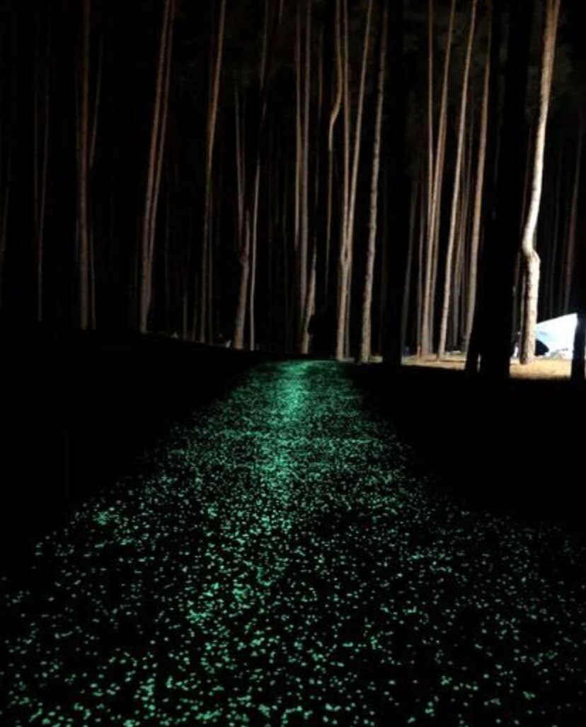 Дорожка в парке в стиле "Звёздная ночь". Создана с помощью люминесцентных гранул (окрашенной мраморной крошки).