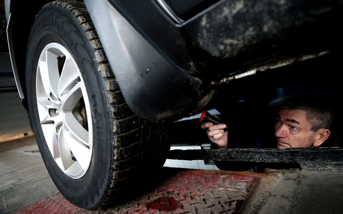 Фото: Егор Алеев / ТАСС 
