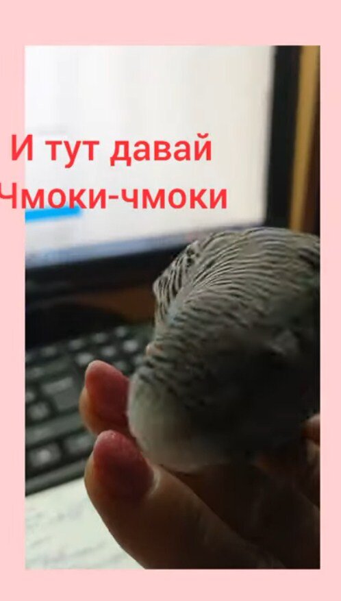 Любимое занятие- целовать руки. Но любит, когда целую и  его.